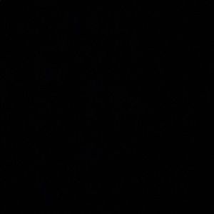 Meet your Posher, Devin